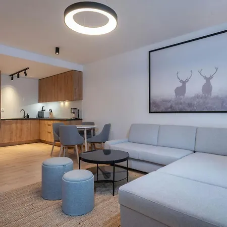 Dasus Luxury Apartament *